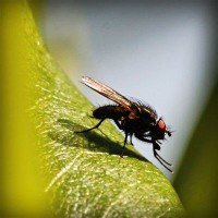 /album/ebop-amigos-leyendo/photolia-a04-jpg/