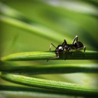 /album/ebop-amigos-leyendo/photolia-a05-jpg/