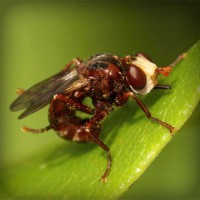 /album/ebop-amigos-leyendo/photolia-a06-jpg/