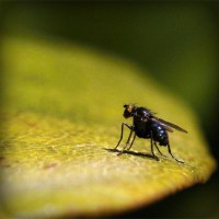 /album/ebop-amigos-leyendo/photolia-a07-jpg/