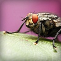 /album/ebop-amigos-leyendo/photolia-a08-jpg/